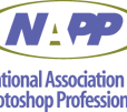 napplogo2